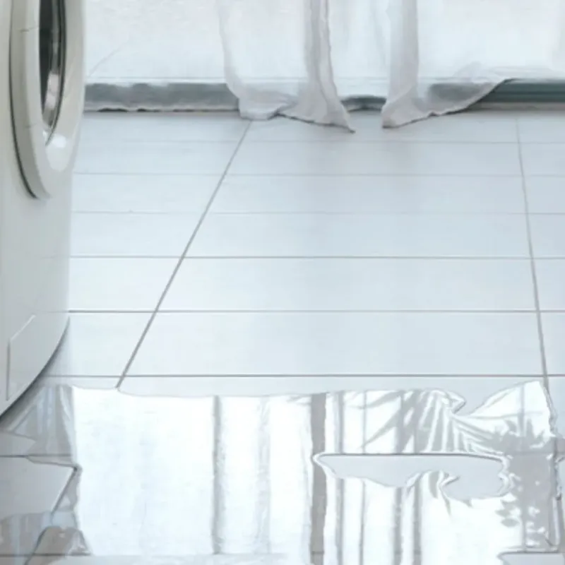 Appliance Leak Cleanup in Ridge Manor, FL