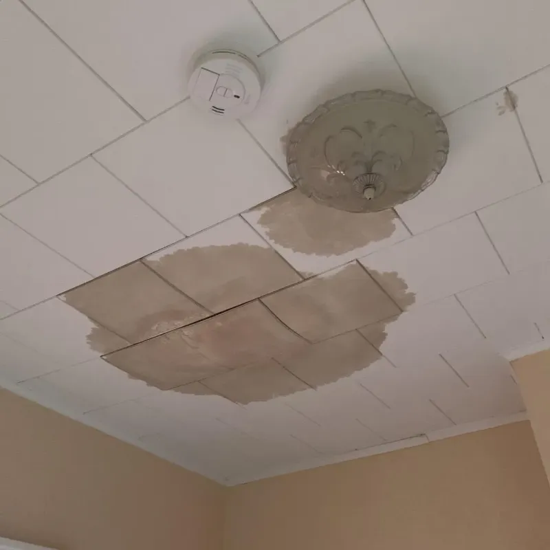 Ceiling Water Damage Repair in Ridge Manor, FL