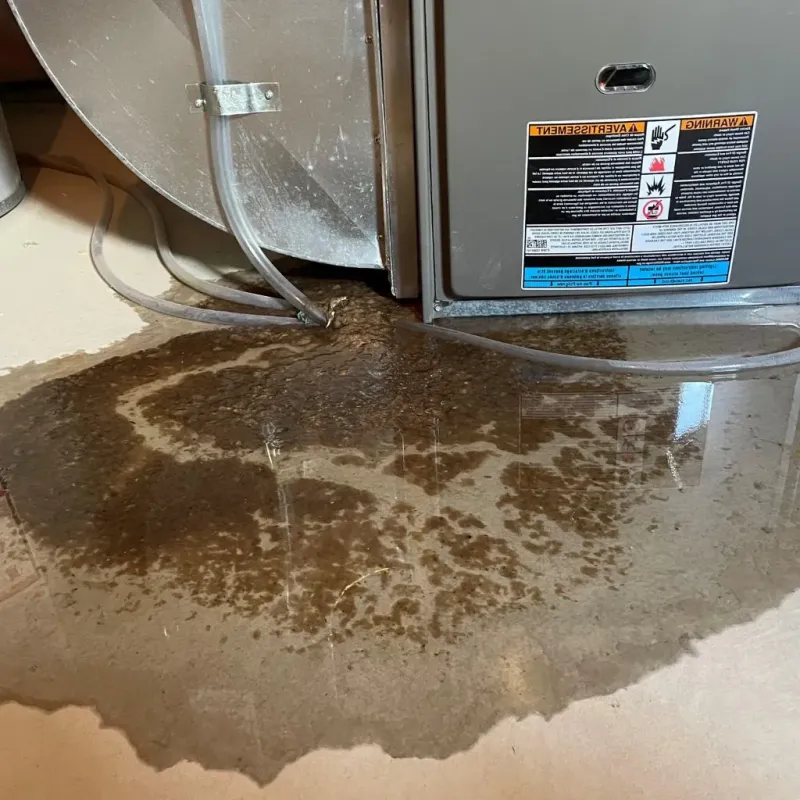 Pipe Burst and Leak Restoration in Ridge Manor, FL