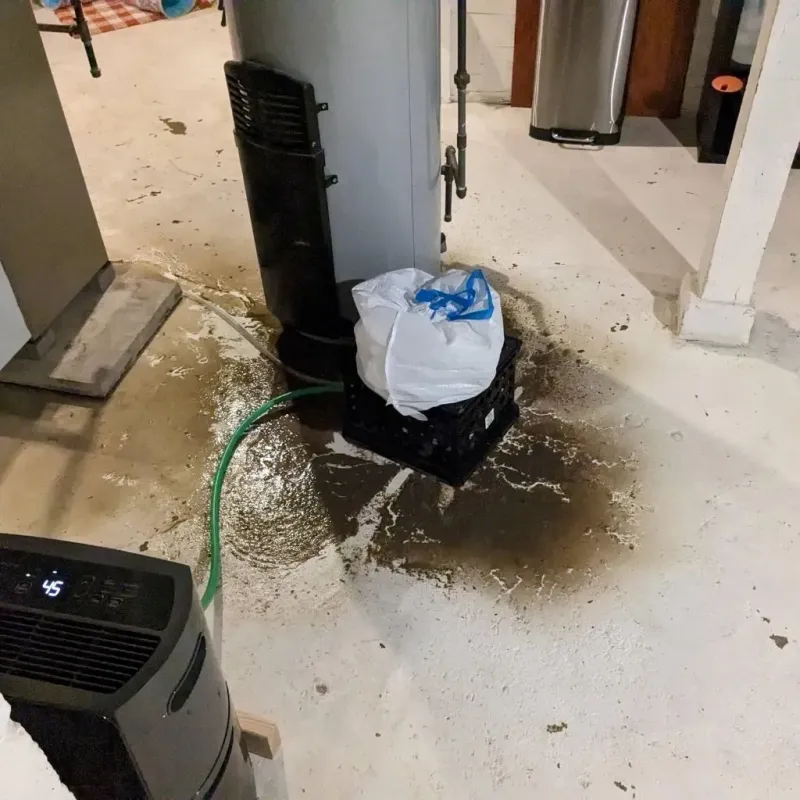 Sewage Backup Cleanup Service in Ridge Manor, FL